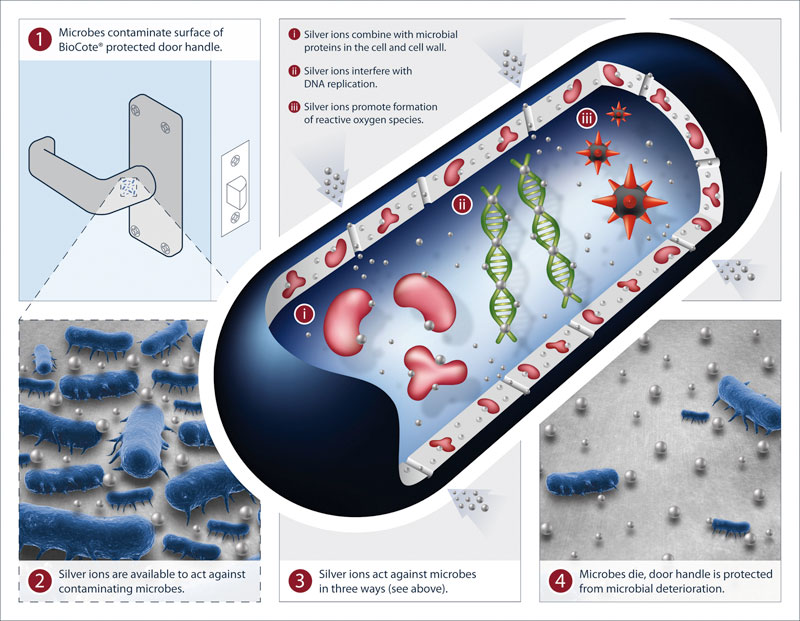 salto bio microbial